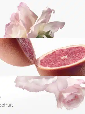 3346130491736_1