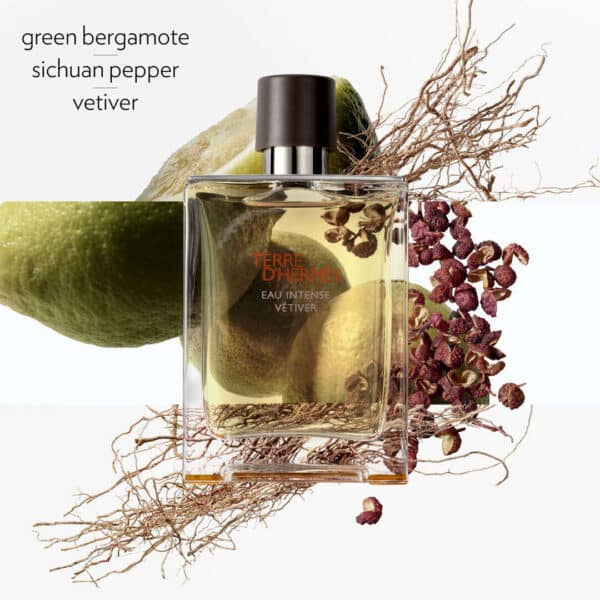 HERMÈS Terre D' Hermès Eau Intense Vetiver EdP 100 ml