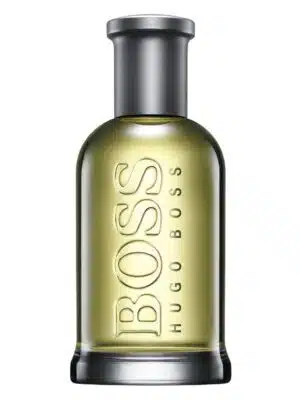 Hugo Boss Bottled EdT 100 ml