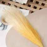 5pcs Artificial Pampas Grass Faux Reed Grass, Reed Flower With Fluffy Stems Reed