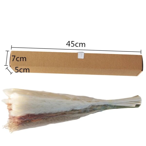 45cm Pampa Grass Bouquet Dried Natural Flowers