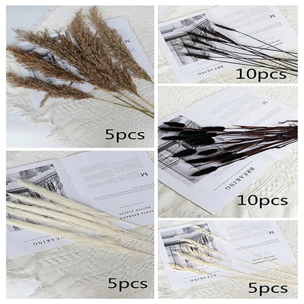 45cm Pampa Grass Bouquet Dried Natural Flowers