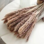 10 Pack Dried Reeds Natural Plants Small Pampas