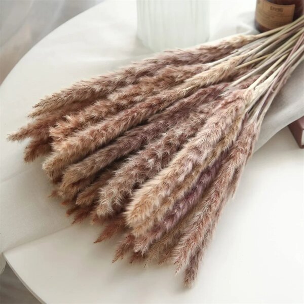10 Pack Dried Reeds Natural Plants Small Pampas
