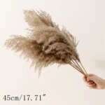 5 stk naturlig tørket pampasgress og dekorative strå