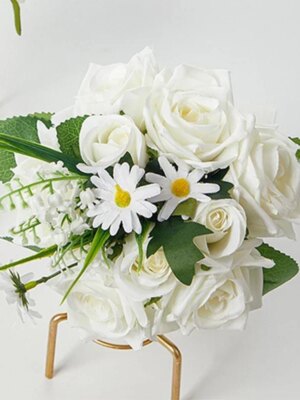 35516-cfe80c.jpg
