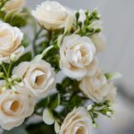 15 blomsterhoder – 5 greiner silkeroser til bryllup, kranser og dekor