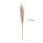 55CM 5PCS Fluffy Pampas Grass Boho Decor