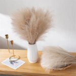 55CM 5PCS Fluffy Pampas Grass Boho Decor