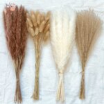 Natural Pampas Dried Flowers Bouquet