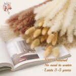 Natural Pampas Dried Flowers Bouquet