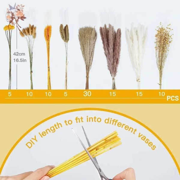 80Pcs Fluffy Pampas Grass Reeds Dried Flowers