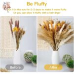 80Pcs Fluffy Pampas Grass Reeds Dried Flowers