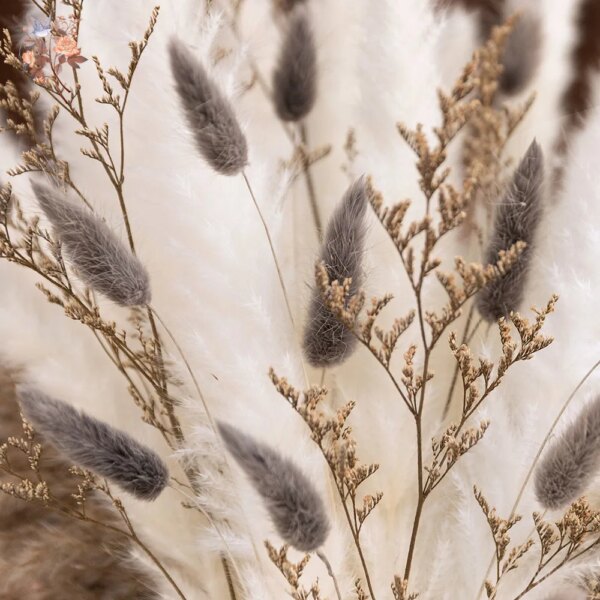 40pcs Natural Fluffy Dried Flower Pampas Grass Bouquet