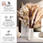 Naturlig pampas – tørkede blomster til dekorasjon