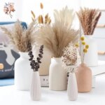 Naturlig pampas – tørkede blomster til dekorasjon