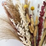 Naturlig pampas – tørkede blomster til dekorasjon