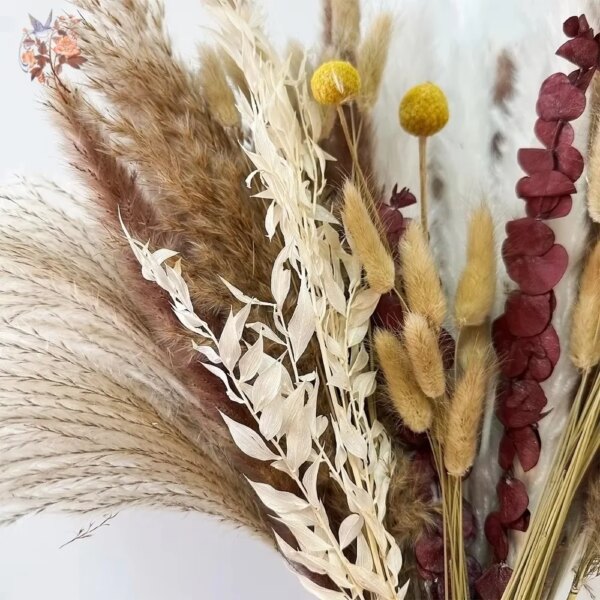 Naturlig pampas – tørkede blomster til dekorasjon