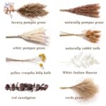 Naturlig pampas – tørkede blomster til dekorasjon