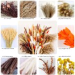 Fluffy Bunny Tails Grass Dried Flowers Pampas Bouquet