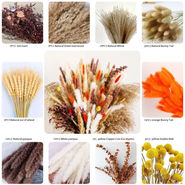 Fluffy Bunny Tails Grass Dried Flowers Pampas Bouquet