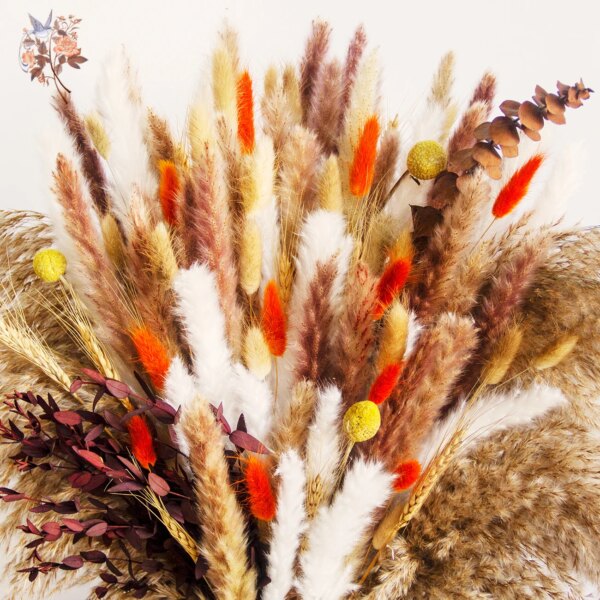 Fluffy Bunny Tails Grass Dried Flowers Pampas Bouquet