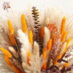 Natural Fluffy Pampas Grass Dried Flowers Bouquet Orange Boho