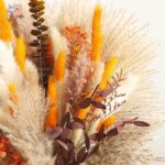Natural Fluffy Pampas Grass Dried Flowers Bouquet Orange Boho
