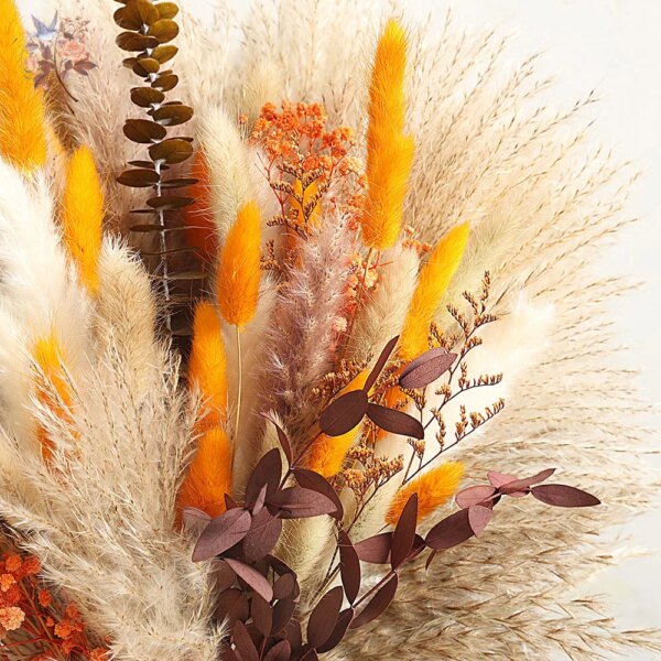 Natural Fluffy Pampas Grass Dried Flowers Bouquet Orange Boho