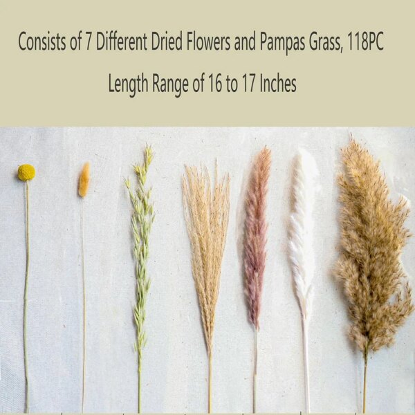 100 Pieces Natural Dried Flowers Rabbit Tail Bouquet