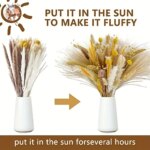 100Pcs Premium Dried Flowers Pampas Grass