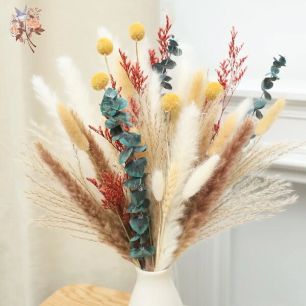 Dried Natural Flowers Pampas Grass Reeds