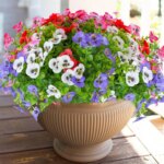 Weather Resistant Artificial Flowers Colorful