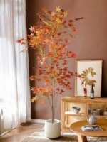 70–140 cm Falskt japansk lønnetre