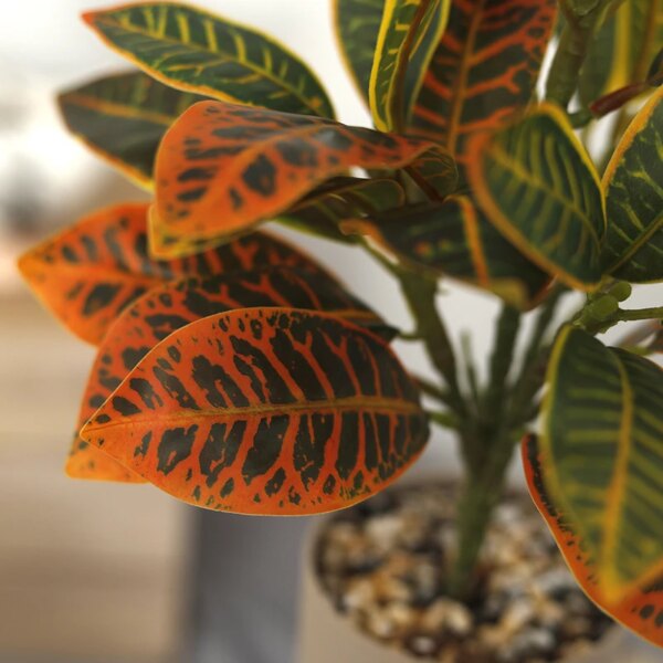 30cm Artificial Plants Tropical Banyan Tree
