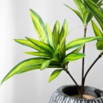 36cm 3 Heads Artificial Palm Tree Plastic Bamboo