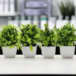 Artificial Plant Tree Window Sill Office Table Desktop Decoration