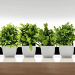 Artificial Plant Tree Window Sill Office Table Desktop Decoration