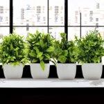 Artificial Plant Tree Window Sill Office Table Desktop Decoration
