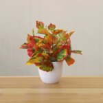 Artificial Plants Bonsai Fake Plants