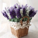 Romantic Provence Decoration Preserved Lavender Flowers