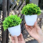 Artificial Plants Potted Mini Green Bonsai