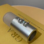 KNOBSPIN Moissanite Øredobber – 18K Hvitt Gullbelagt Sølv, Runde Skrufester, D Farge VVS1