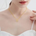 Szjinao Rose Heart Moissanite Necklace – 925 Silver