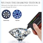 Pass Diamond Test Real 0.5CT Moissanite Swan Necklace GRA Certification S925 Silver Woman Wedding Necklace Premium Jewelry