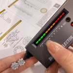 DW 0.5CT Moissanite Blomst Øreplugger – 925 Sølv