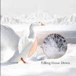 Sondeson Luxury 100% Goose Down Duvet Filler Bread Quilt