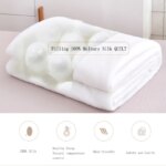 Sondeson Luxury 100% Silk Quilt – Warm Jacquard Duvet
