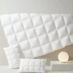 Sondeson Luxury Premium 100% Goose Down Pillow