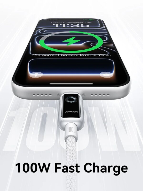 Joyroom 100W USB C Cable Automatic Power Off Fast Charge Type C Cable